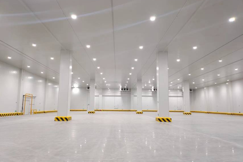 How Much Does a 10,000-Ton Cold Storage Cost and What Is the Required Floor Area?