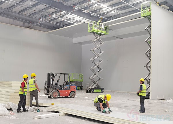 What Is a Cold Chain Logistics Cold Storage? Construction Cost & Storage Capacity Explained