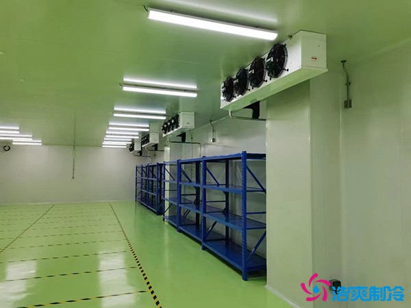 How Much Does It Cost to Build a Biological Vaccine Cold Room?