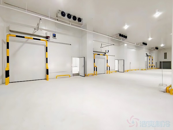 How Much Does It Cost to Build a 1,000 m² Freezer Warehouse at –24°C (4 m Height)?