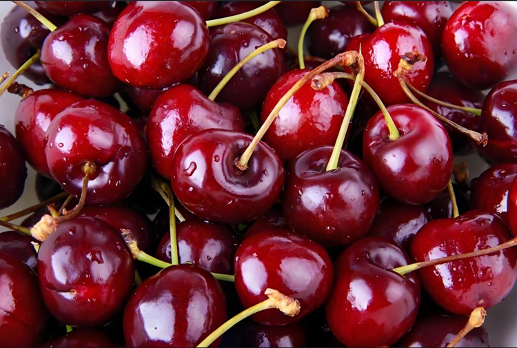 How to Store Cherries for 4 Months: Controlled Atmosphere Cold Storage Method Explained