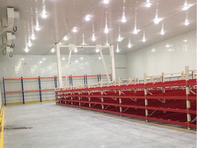  - Cold Chain Cold Storage - 4