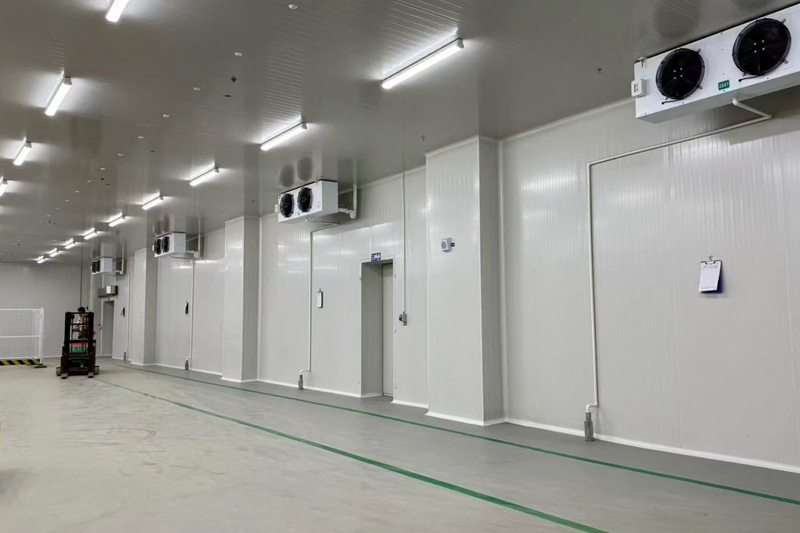 How Much Does It Cost to Build a Blast Freezer Cold Room per Square Meter?