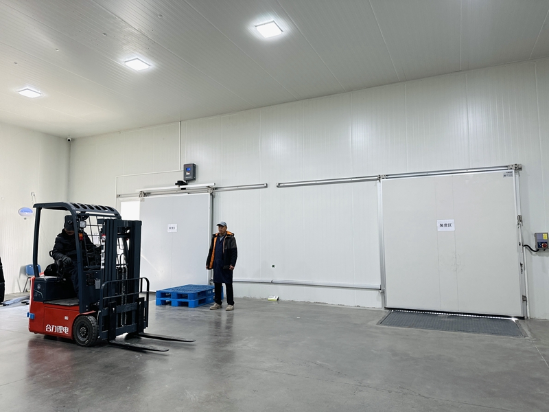 How Much Space Does a 100-Ton Cold Storage Require and How Much Does It Cost to Build?