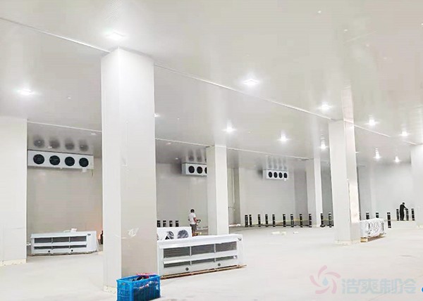 8,000 m³ Food Cold Storage Cost: How Much to Store 1,600 Tons? (USD + Real ROI)