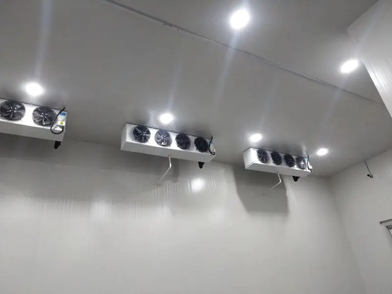 Completed cold storage facility (actual photos)