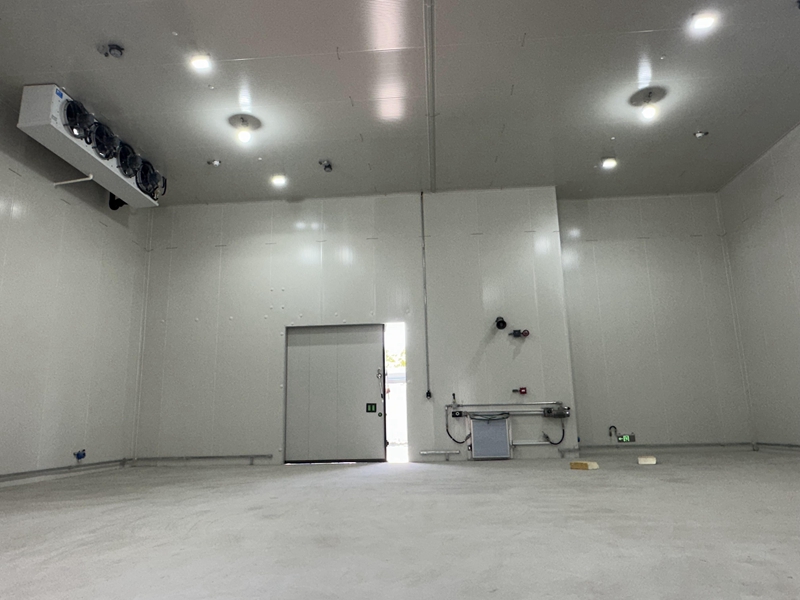 How Much Does a Pear Cold Room Cost? (Price, Capacity & Export ROI)