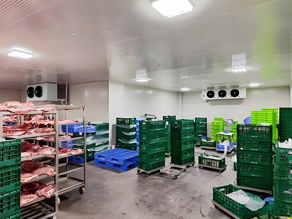 How Much Does a 100-Ton Frozen Meat Cold Room Cost? (Price, Capacity & ROI)