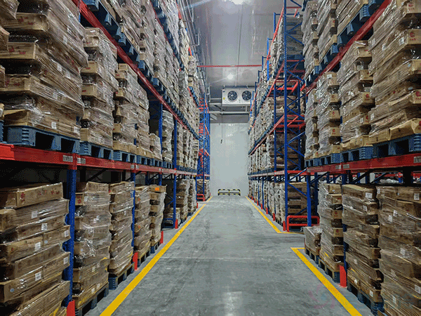 How Much Does a Large-Scale Cold Logistics Warehouse Cost? (Price, Capacity & ROI by Size)