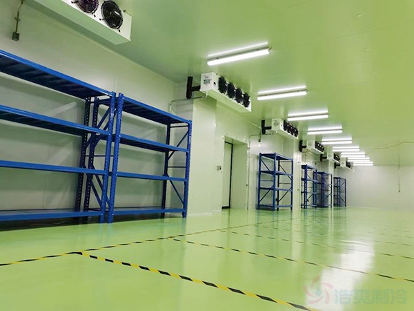 How Much Does a –20°C Vaccine Cold Room Cost? (Price, Capacity & WHO-Compliant Reliability)