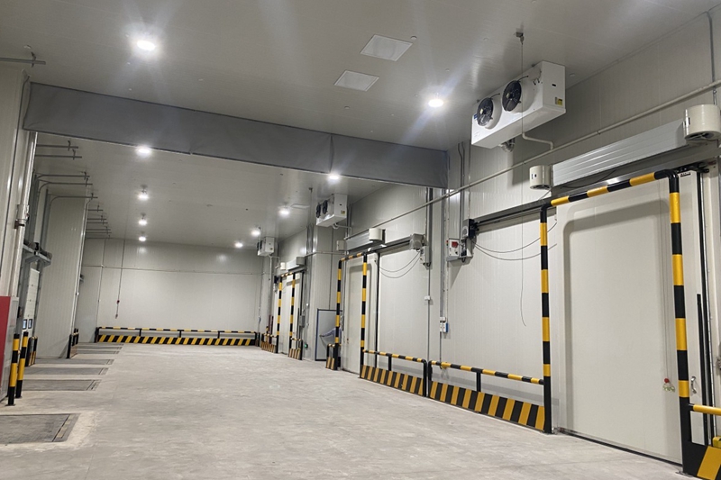 How Much Does a Multi-Vegetable Cold Room Cost? (Price, Capacity & Smart Zoning Strategy)