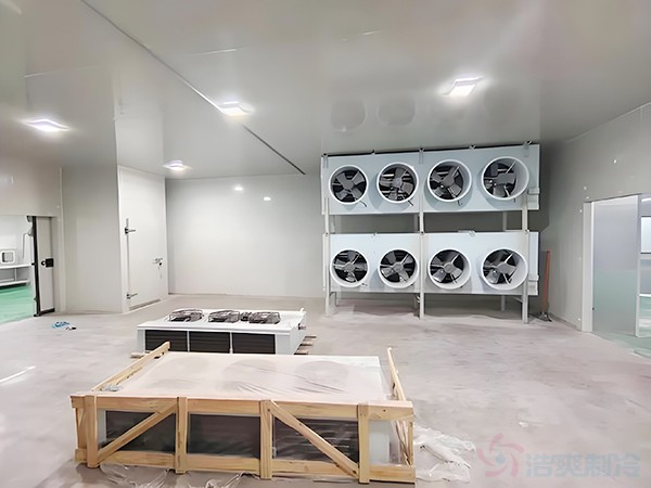 How Much Does It Cost to Build a Blast Freezer Room per m²? What Temperature Should It Be?