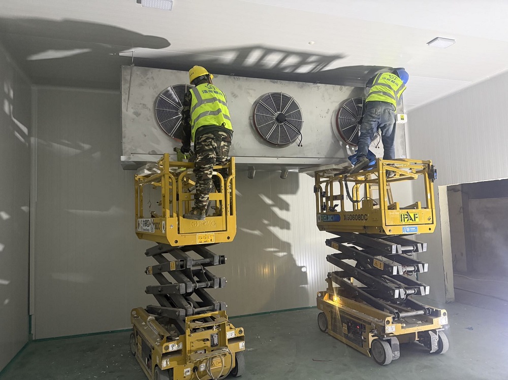 How Much Does a 2,000m² Fresh Produce Cold Room Cost? (1000–1,200 Ton Capacity, Turnkey Price)