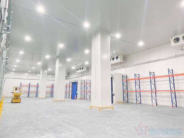 How Much Does a 500m² Cold Room Cost? (Price, Capacity & Key Cost Drivers)