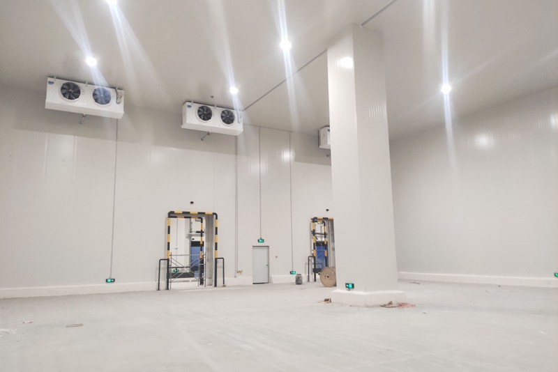 How Much Does It Cost to Build a 500 m² Fruit and Vegetable Cold Storage Facility?