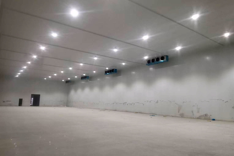 How Much Does It Cost to Build a Large Cold Storage Warehouse per m²?