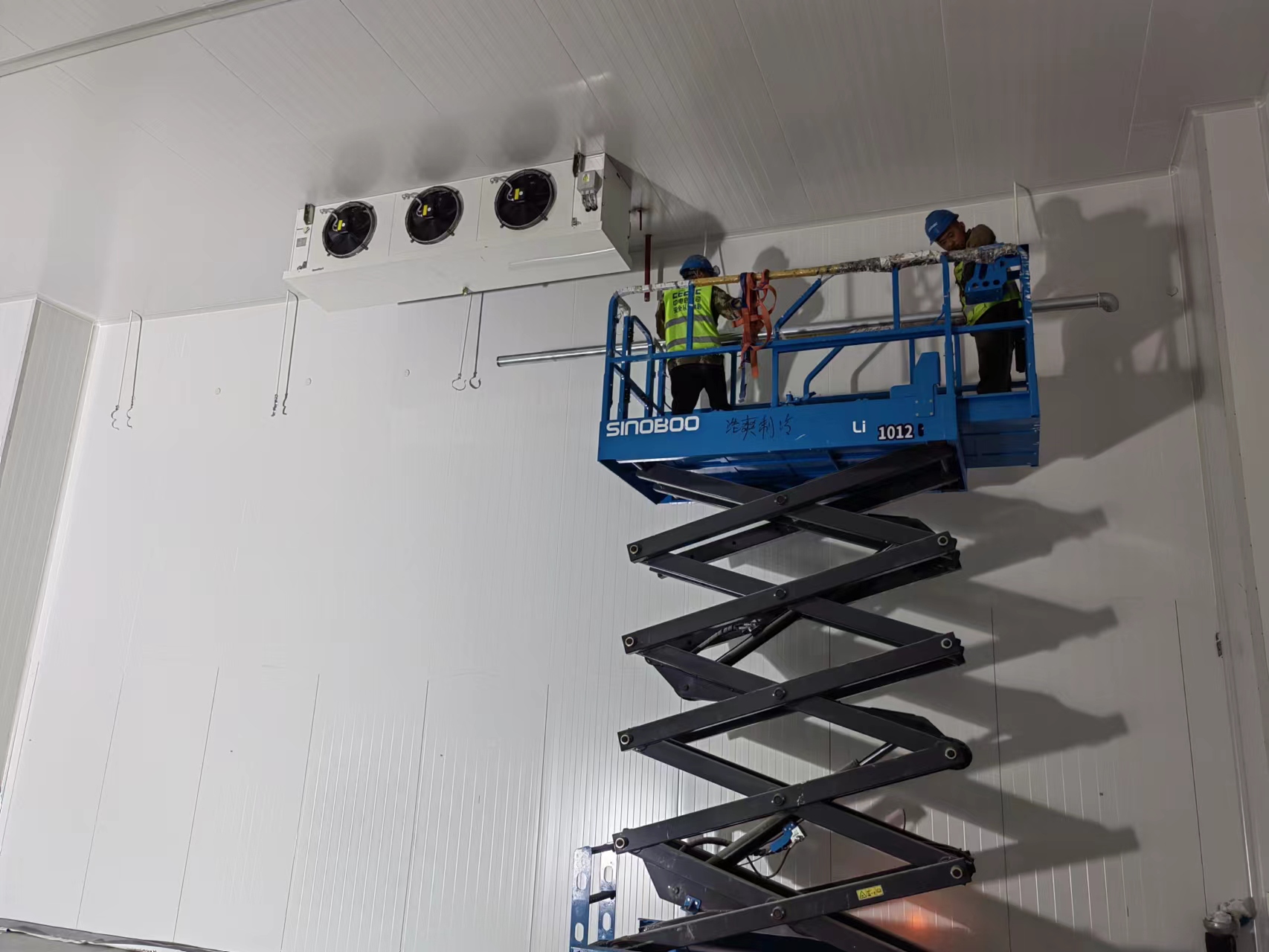 How Much Does It Cost to Build a 50-Ton Apple Cold Storage Facility?