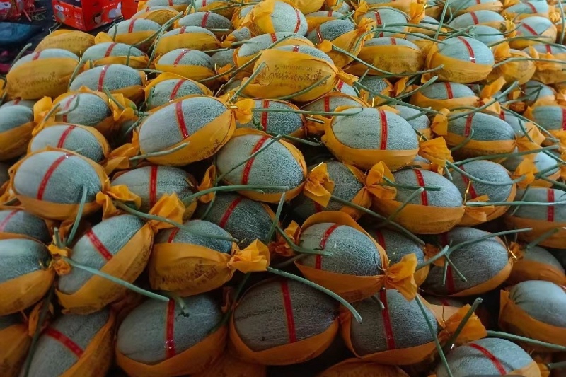 How Much Does a Honeydew Melon Cold Room Cost? (2026 Price & Storage Capacity)