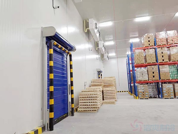 1,000-Ton Cold Room Cost for Frozen Meat: Turnkey Price & Capacity (2026)