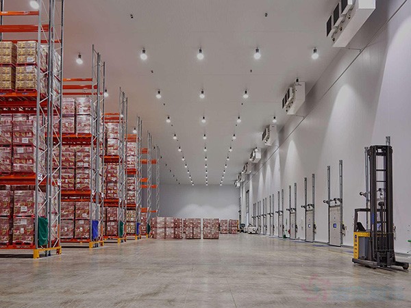How Much Does a Cold Storage Warehouse Cost? (2026 Turnkey Price per m² & Capacity)