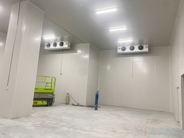 How Much Does It Cost to Build a 700 m³ Medium-Temperature Cold Storage Room?