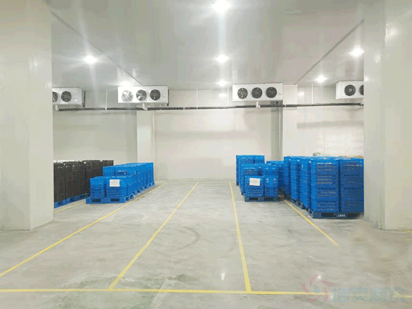How Much Does It Cost to Build a 2,000 m² Fresh Produce Cold Storage (1,000 Tons Capacity)?