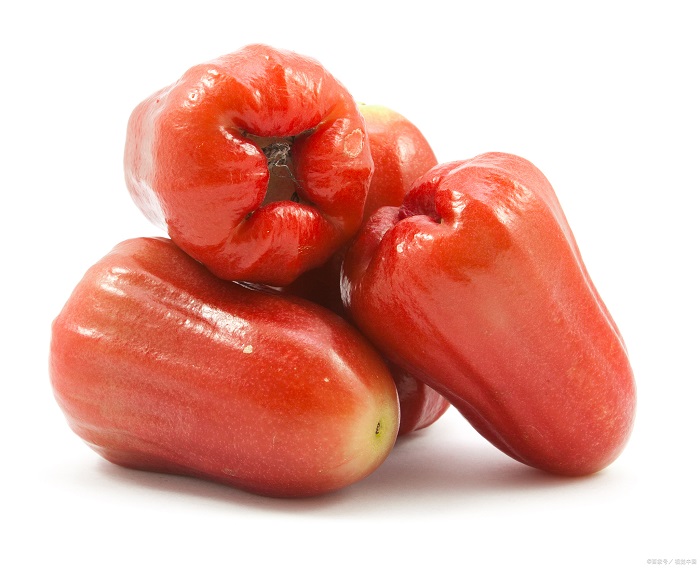 How to Store Wax Apple (Rose Apple)? Cold Storage Method, Cost & Capacity Guide