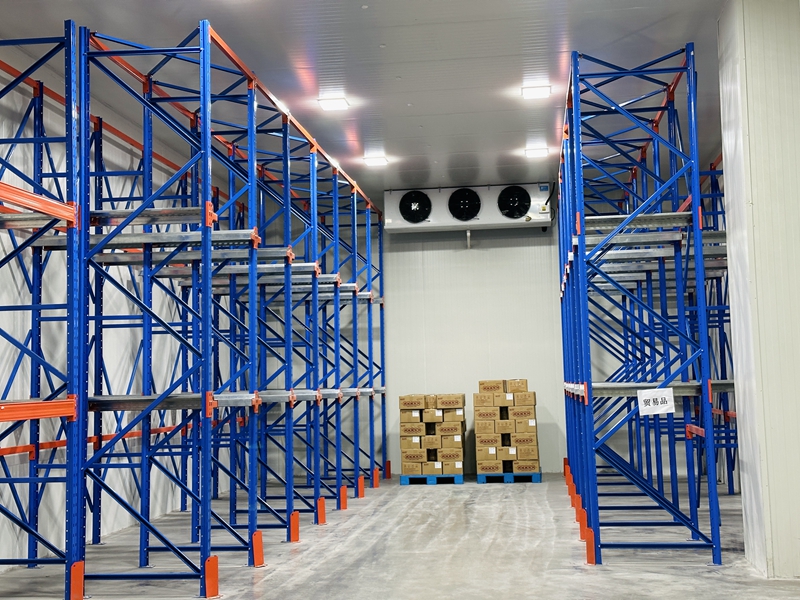 Chocolate Cold Storage: Optimal Temperature, Cost & Storage Capacity Guide