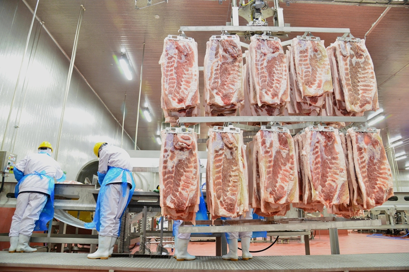 How Much Does a 500‑Ton Pork Cold Storage Cost in Vietnam?