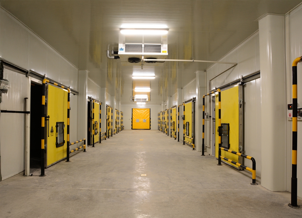 CA Storage