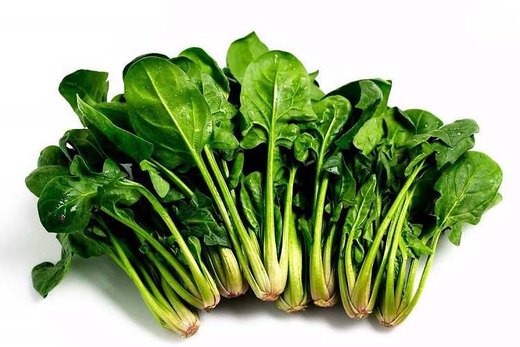 Spinach Cold Storage – The Best Way to Keep Spinach Fresh for Weeks