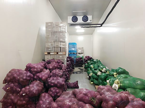How Much Does a 100m² Vegetable Cold Storage Cost in Vietnam?