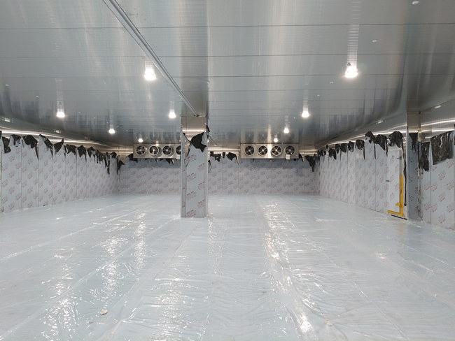 How Much Does a 100m² -18°C Freezer Cold Storage Cost in Nigeria?