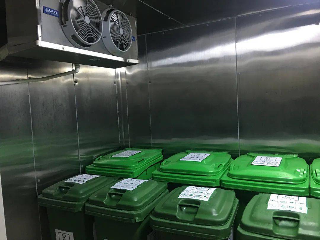 How Much Does a Small Kitchen Waste Cold Storage Cost in Singapore?