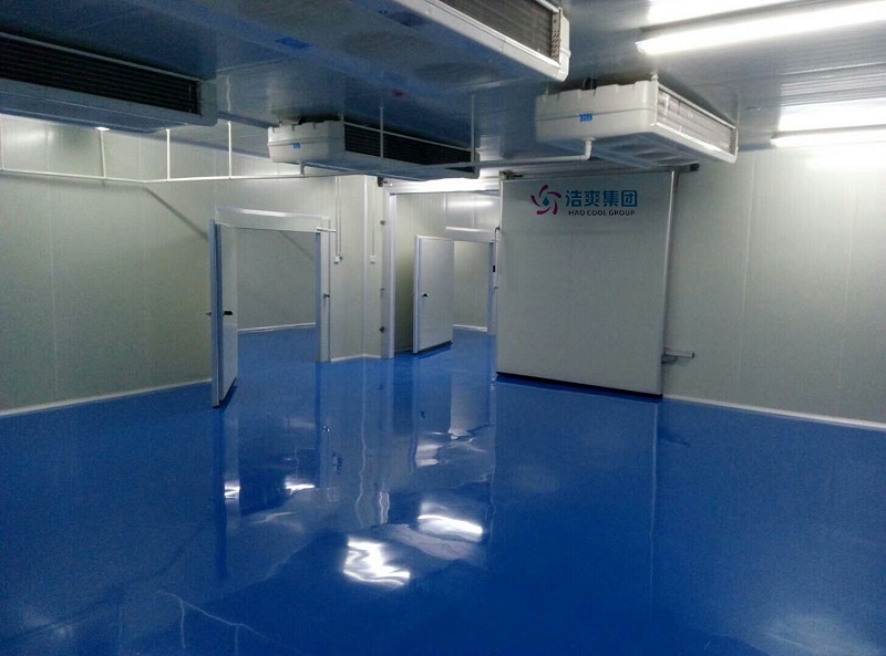 How Much Does a 300m³ 2–8°C Pharmaceutical Cold Storage Cost in Dubai?