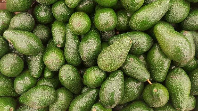 How to Keep Avocados Fresh Longer – A Guide to CA Cold Storage
