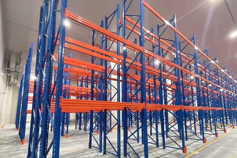 How Much Does a 1,000m² Cold Storage Cost for a Fruit & Vegetable Wholesale Market in Morocco?