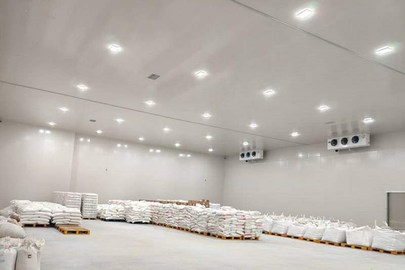 How Much Does an 800-Ton Cold Storage Cost in Tashkent?