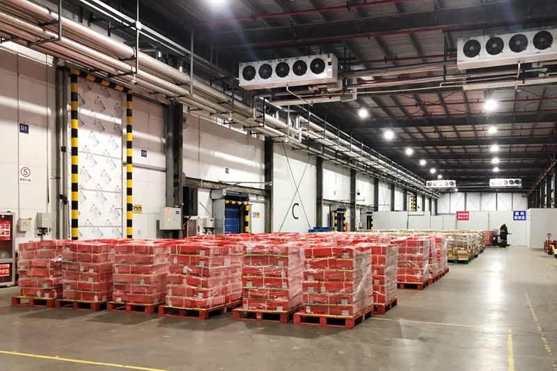 How Much Does a 200‑Ton Food Cold Storage Cost in the Philippines?