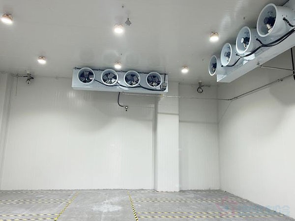 Chili Drying Raw Material Warehouse: What Size Is Right for Your Operation?