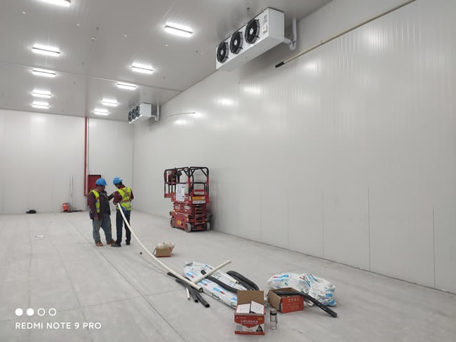 How Much Does a 300-Ton Fruit & Vegetable Cold Room Cost in Dhaka, Bangladesh?