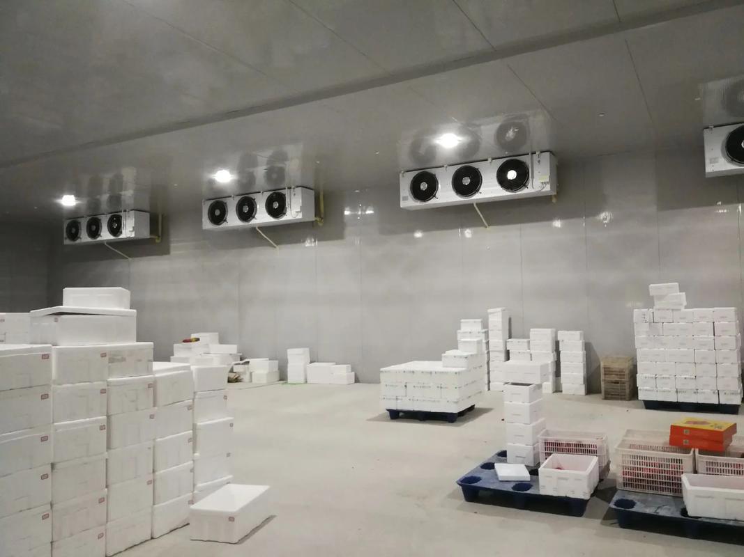 How Much Does a 100-Ton Turnkey Fish & Shrimp Freezer Cold Room Cost in Chittagong, Bangladesh?