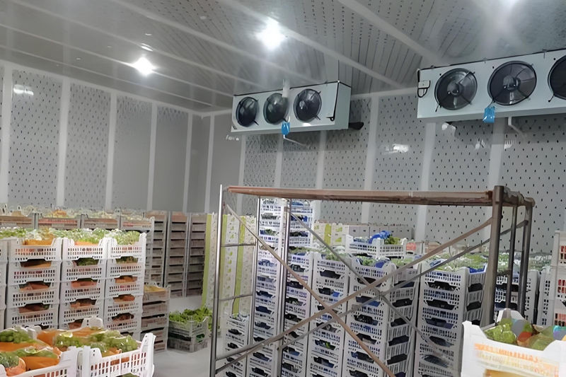 How Much Does a 300-Ton Grape Cold Storage Cost in Fergana, Uzbekistan?