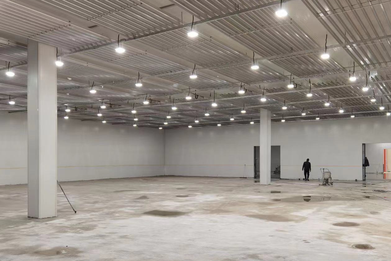 How Much Does a 200-Ton Seafood Freezer Cold Storage Cost in Hai Phong, Vietnam?