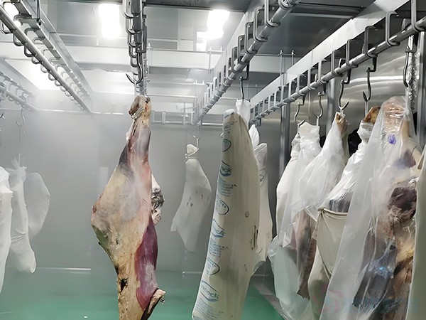 Egypt Halal Livestock & Poultry Slaughterhouse Cold Storage: A Complete Guide to Planning, Construction, Commissioning, and Maintenance