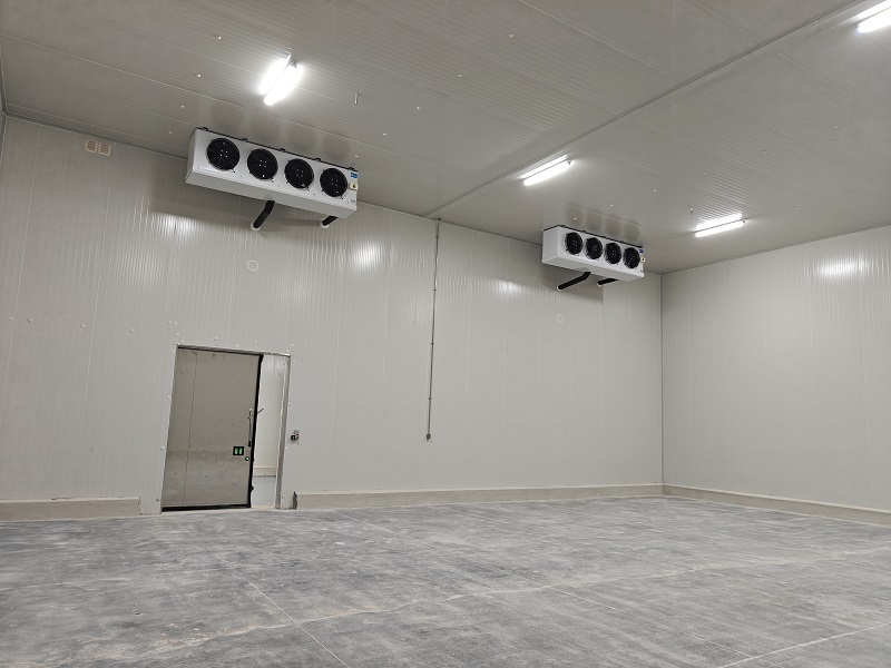 How Much Does a 180-Ton Fruit & Vegetable Cold Room Cost in Dhaka, Bangladesh?