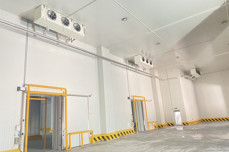 2,000m² / 8,000m³ Cold Storage Cost: Construction Budget & Key Factors