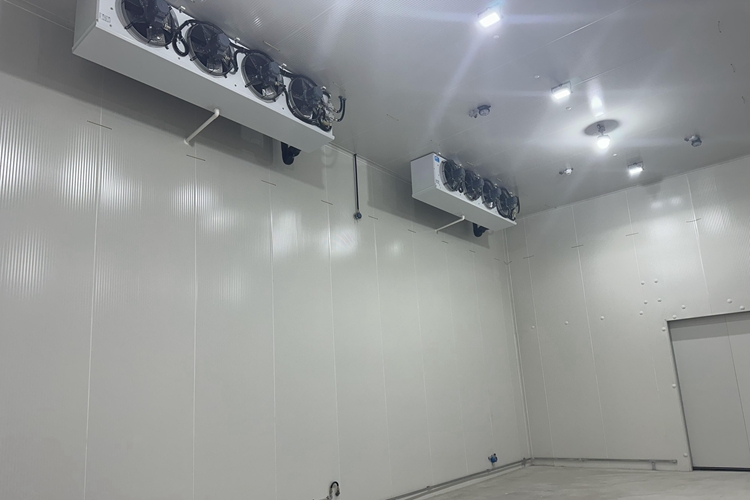 120-Ton Fruit & Vegetable Cold Storage: How Many Cubic Meters Are Needed?
