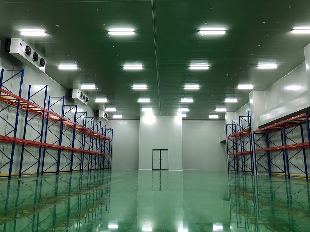 How Much Does a 600-Ton Cold Storage Facility Cost?