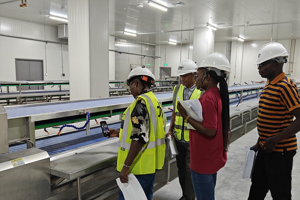 2000-Ton Food Cold Storage: Design Area & Construction Cost